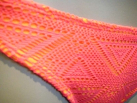 Shiwi bright pink bikini slip 38