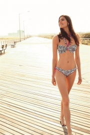 Ellipse Bikini ZEBRA strapless top  80C 85C 85D 70C