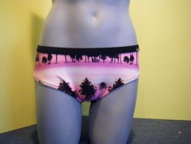 pastel pink Shiwi  bikini heupslip 40