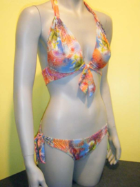 Nicole Oliver bikini Taj Mahal 38