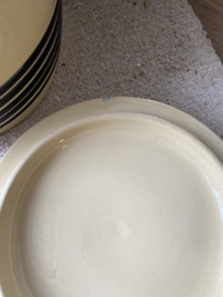 Bandenpot met deksel, Regout