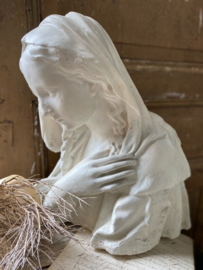 Borstbeeld Maria Wit
