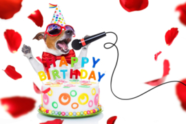 Dierendag: Bakken voor je hond! * dinsdag 4 oktober 2022 - 16 uur * VOL!