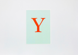 Y card