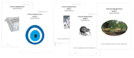 Combi Citotrainer Begrijpend lezen Boekje 1 t/m 5 - Bovenbouw (pdf-bestanden)