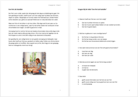 Ik begrijp het - groep 8 (pdf)