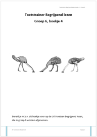 Toetstrainer Begrijpend lezen Boekje 4 - Groep 6 (pdf-bestand)