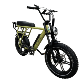 GTS Nobel - (olive)