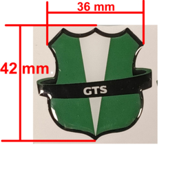 GTS E-move - Sticker "GTS" - Groen - (6.17.061.60611705) - (VAK B-130B)