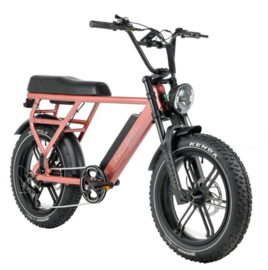GTS Nobel - (roze)