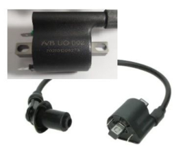 AGM VX - Bobine compleet (EURO 4)