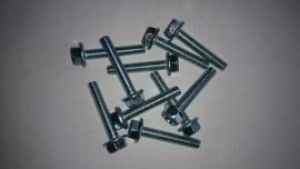 kickstartdeksel gegalvaniseerde bouten set 10 stuks (VAK D-9)