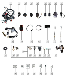 GTS Trento - Afbeelding 11