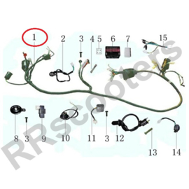 Turbho CD-50 / Kabelboom (Euro 3) - (nr. 1) - (P2R00-29130-00-33)