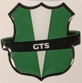GTS E-bravo / Sticker "GTS" - Groen - (VAK B-130B)