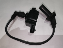 Neco Abruzzi 125cc (EFI) - Bobine compleet - (VAK B-137)