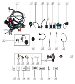 GTS Merano - Afbeelding 12