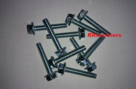 25 - Kickstartdeksel gegalvaniseerde bouten set 10 stuks (VAK D-9)