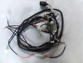 electrische bedrading kabelboom (D-33)