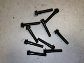 23 - Kickstartdeksel bouten set 10 stuks (VAK D-9)