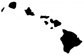 Hawaii sticker