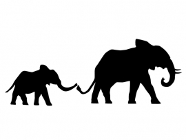 Olifant Familie sticker