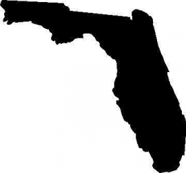 Florida State Motief 2 sticker
