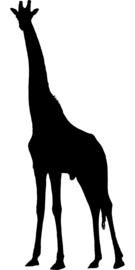 Giraffe Sticker Motief 3