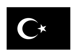 Turkse Vlag Sticker