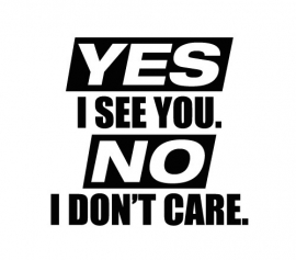 Yes I See You NO I Don't Care Sticker