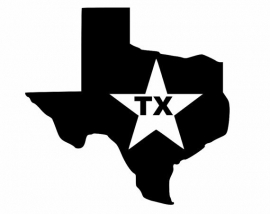 Texas State Motief 4 sticker