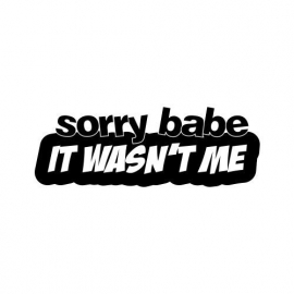 Sorry Babe It Wasn't Me Sticker