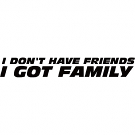 I Don't Have friends I Got Family Paul Walker Tribute Sticker