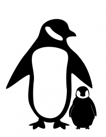 Pinguin Motief 3 sticker