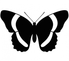 Vlinder Motief 3 sticker