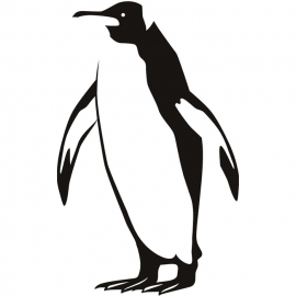 Pinguin Motief 4 sticker