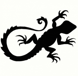 Salamander Motief 3 sticker