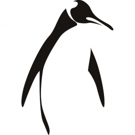 Pinguin Motief 1 sticker