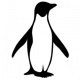 Pinguin Motief 2 sticker