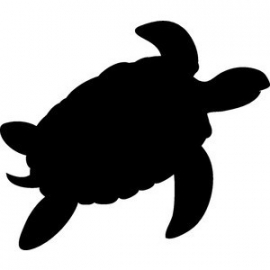 Schildpad  Motief 7 sticker