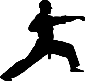 Judo Sticker