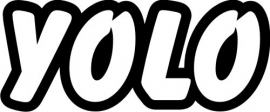YOLO sticker