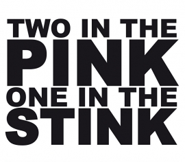 Two In The Pink One In The Stink Sticker