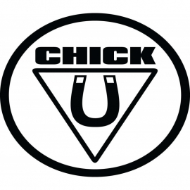 Chick Magnet Sticker