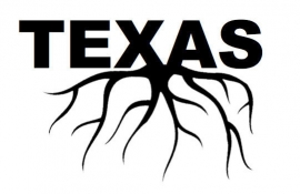 Texas Roots sticker