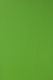 Groen behang  44608