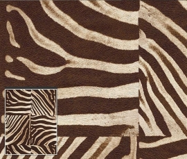 Rasch Out of Africa 715309