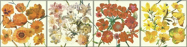 behangrand floral bloemen xx612