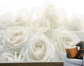 Mantiburi rozen Fotobehang Wedding Roses 17