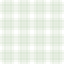 Scotch ruiten behang 38122-2